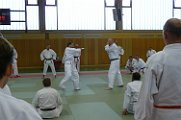 Foto-10